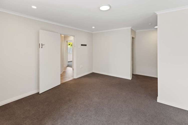 65 Denbigh Street Feilding_9