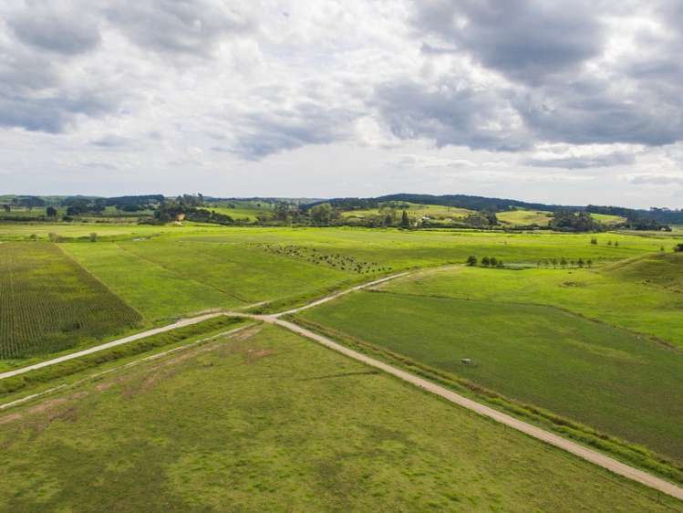 245 Opanake Road Dargaville Surrounds_20