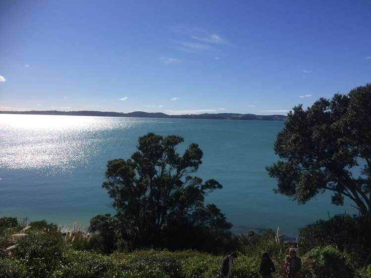 45A Te Pene Road_5