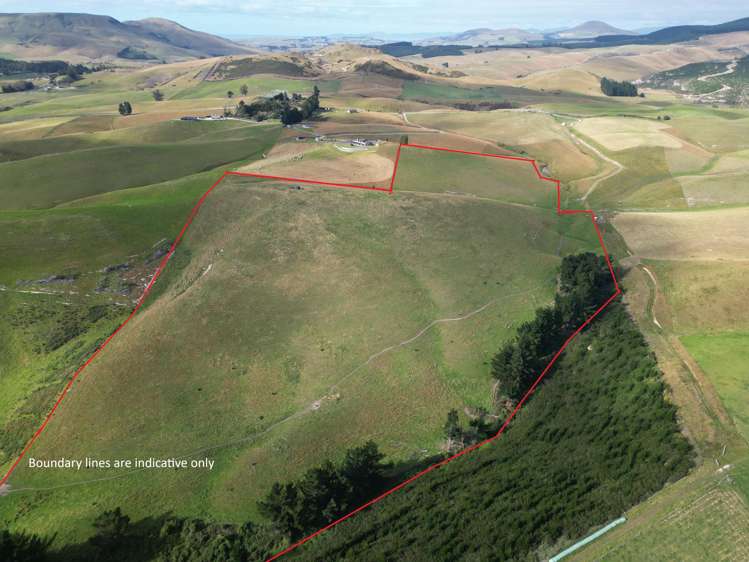 3/220 Taieri Peak Road Palmerston_9