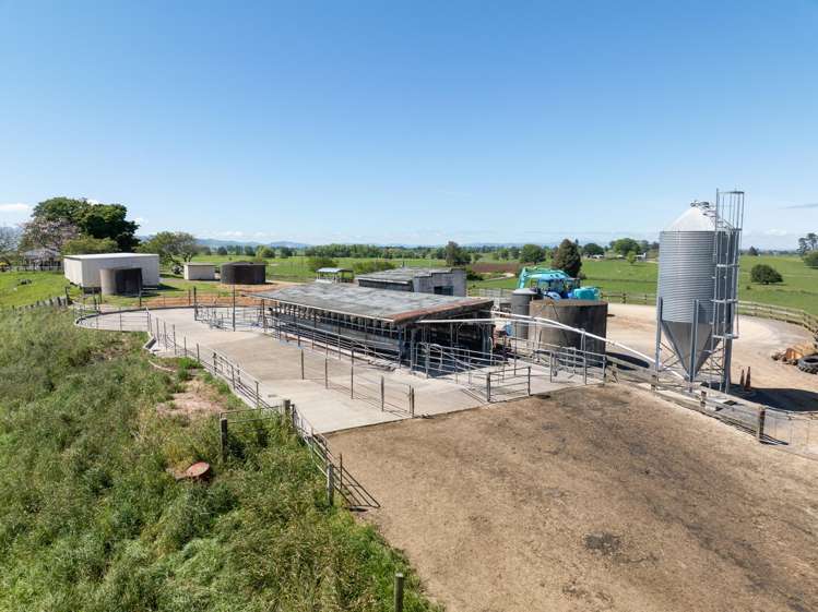 254 Muir Road Te Awamutu_5