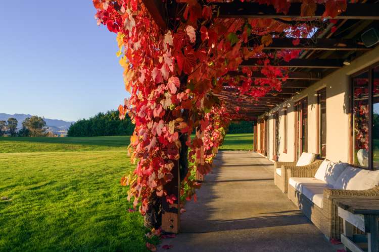 355 Ballantyne Road Wanaka_31