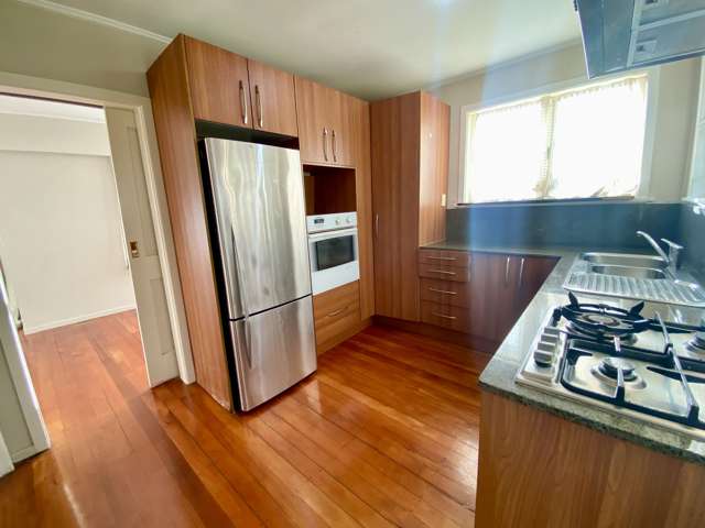 104 Webster Avenue Mount Roskill_4