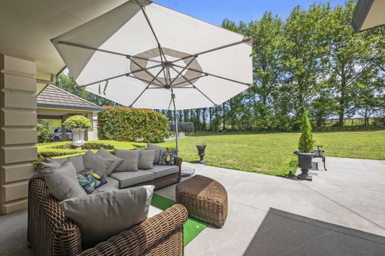 295 Postman Road Dairy Flat_6