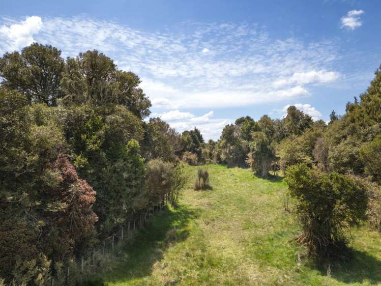 205 Mangaturuturu East Road National Park_6