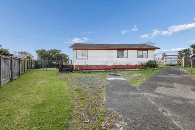 14 Mcgreal Place Clendon Park_1