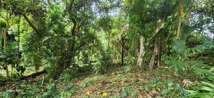 Lot 11 Raintree Estate, Oneva Savusavu_8
