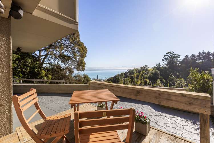 2/3 Lighthouse Road Bluff Hill_15