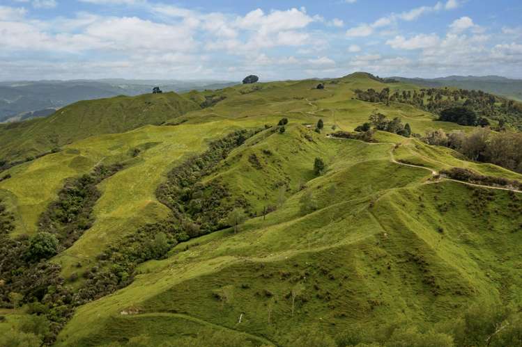 3104 Mangamahu Road Mangamahu_4