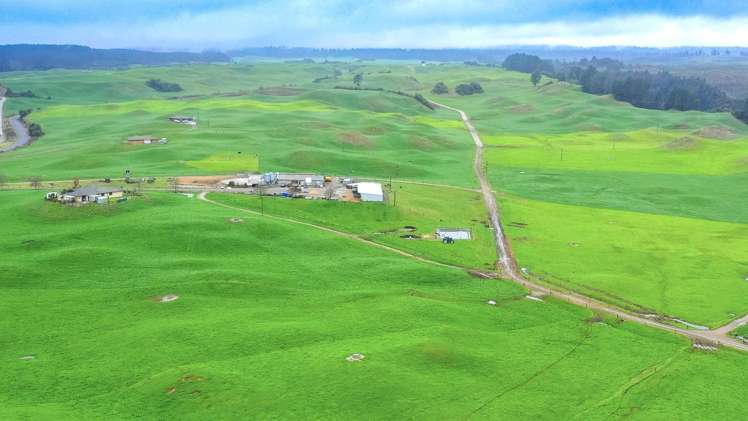 902 Galaxy Road Tokoroa_15