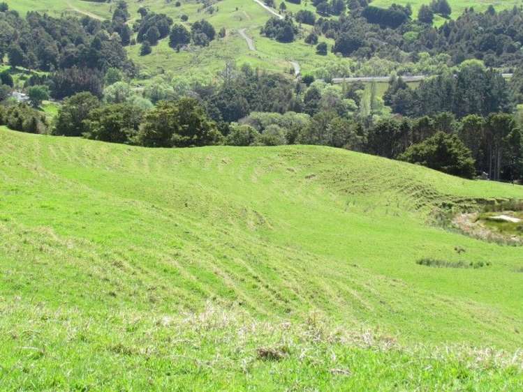 1871 State Highway 14 Mangapai and Surrounds_7