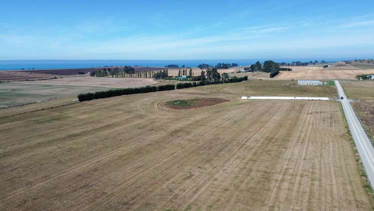 62D Springfield Road Totara_6