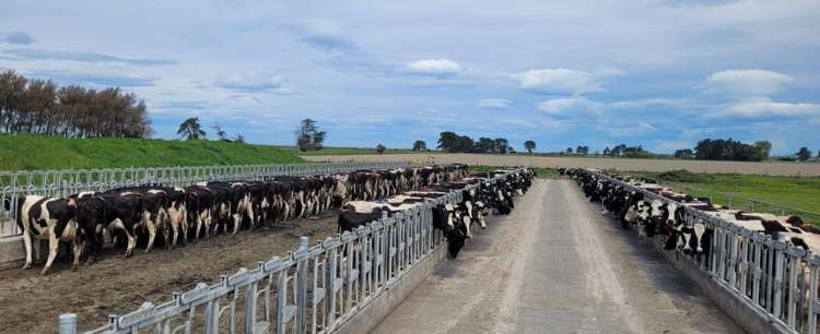 28 Toner Road Temuka_9