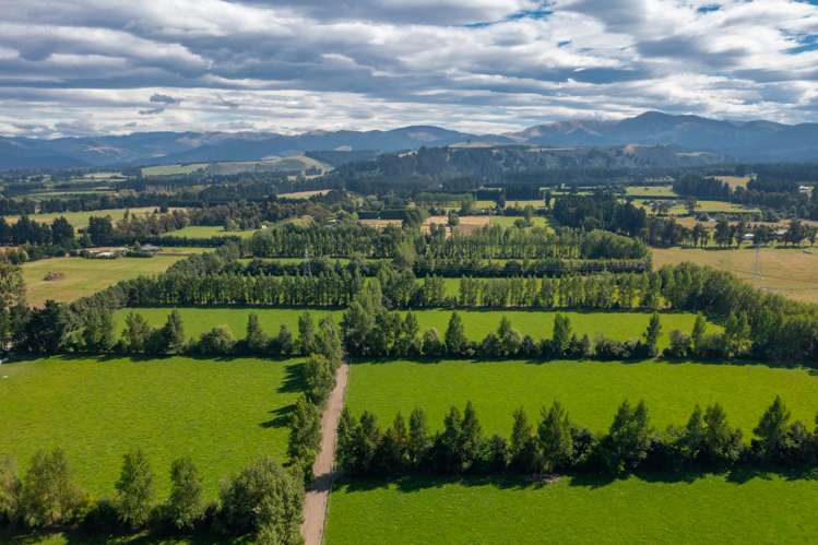 52 Mount Grey Road Loburn_3