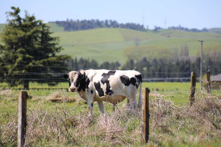 31 Tia Street Atiamuri_20