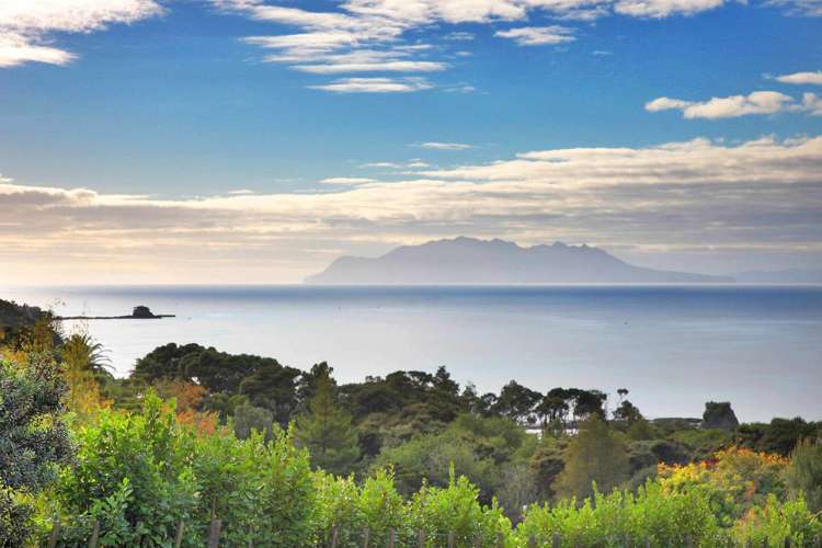 21 Ti Point Road Ti Point_4