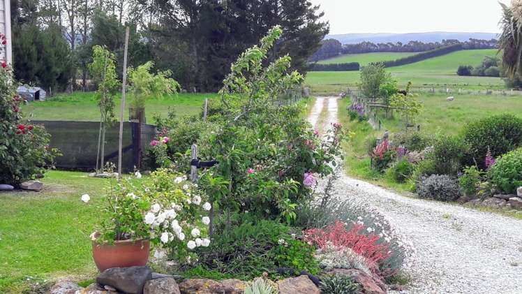 294 Burgess Road Herbert_11