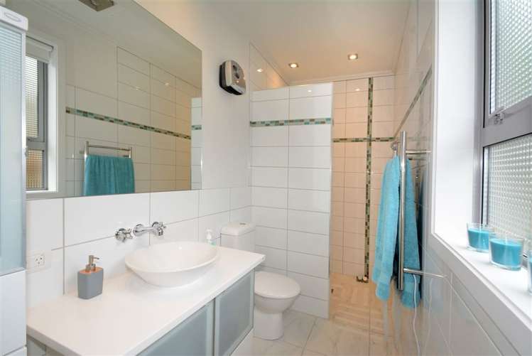 17 Eastbank Street Waverley_22