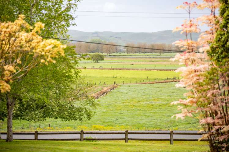 69 Waverley Road Gordonton_37