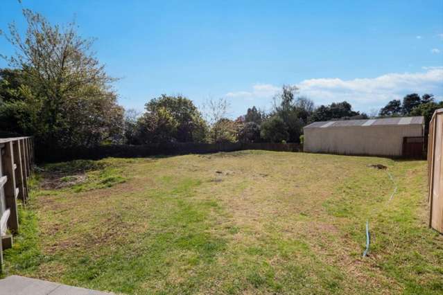 2B No 2 Road Te Puke_1