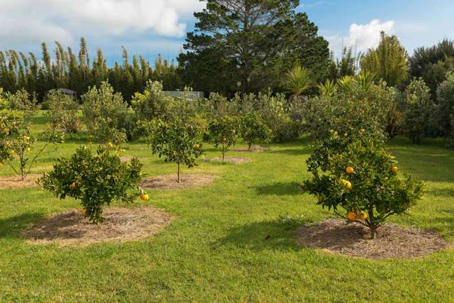 587 Koutu Loop Road Opononi_4