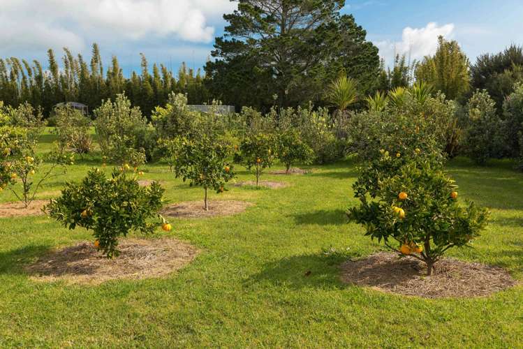 587 Koutu Loop Road Opononi_4