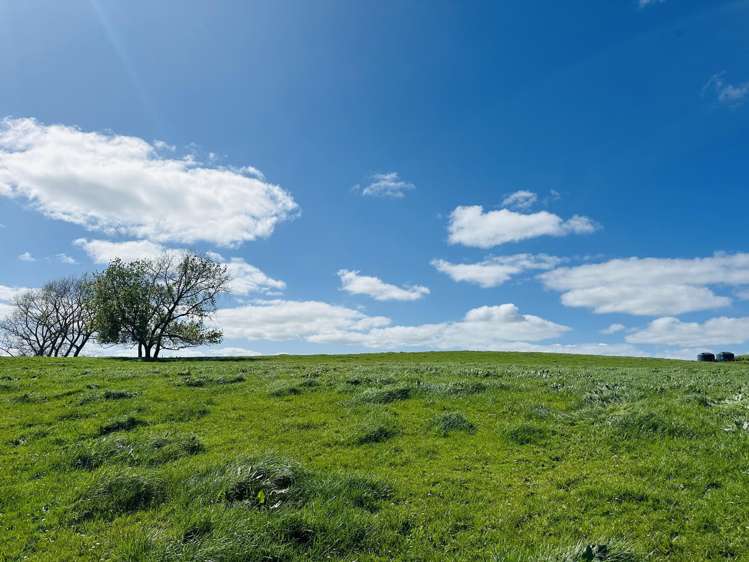 78B Falls Road Te Kauwhata_14