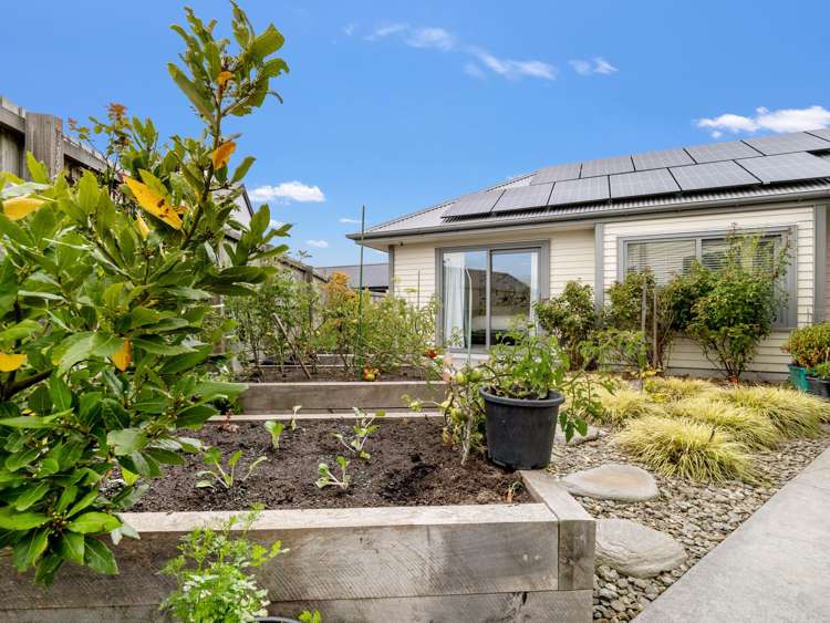 5 Hollard Crescent Lincoln_22