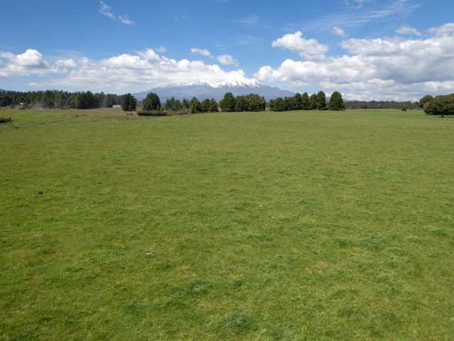 205 Mangaturuturu East Road National Park_1