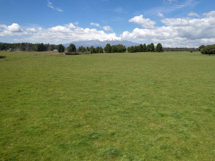 205 Mangaturuturu East Road National Park_1