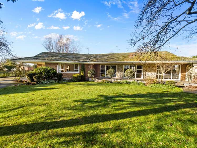 55 Peters Street Hinds_25