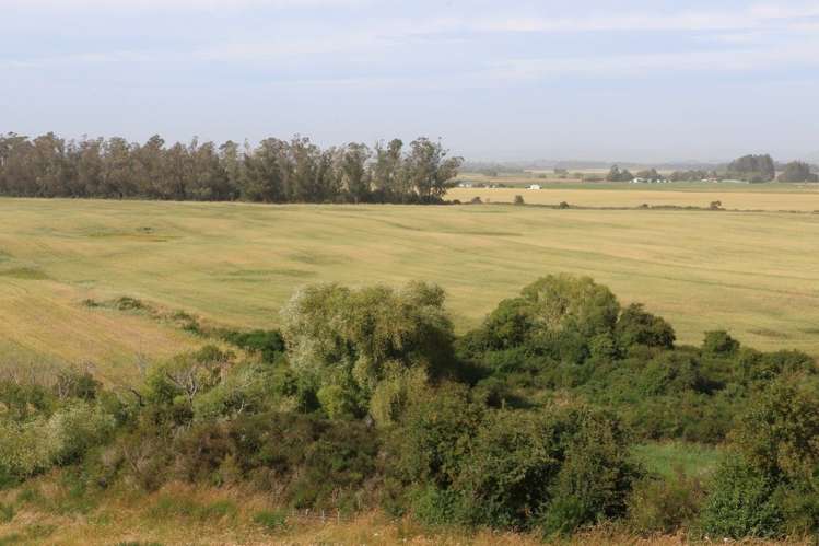 76 Corrigans Road Makikihi_7