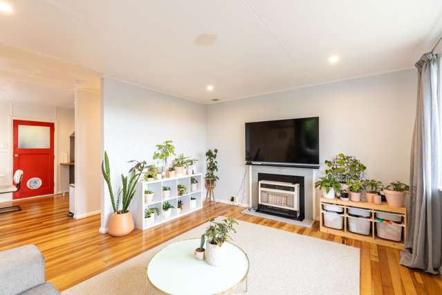 67 Ballance Street Lower Vogeltown_2