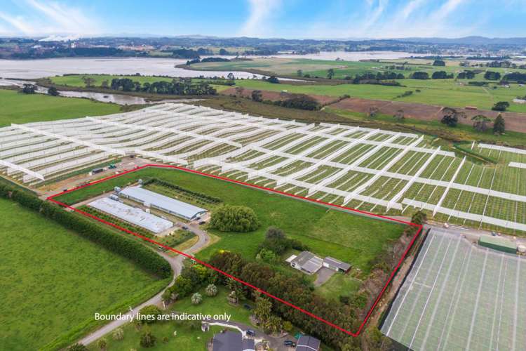 56 Furniss Road Waiuku_4