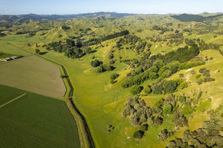 156 Bond Road Ormond_6