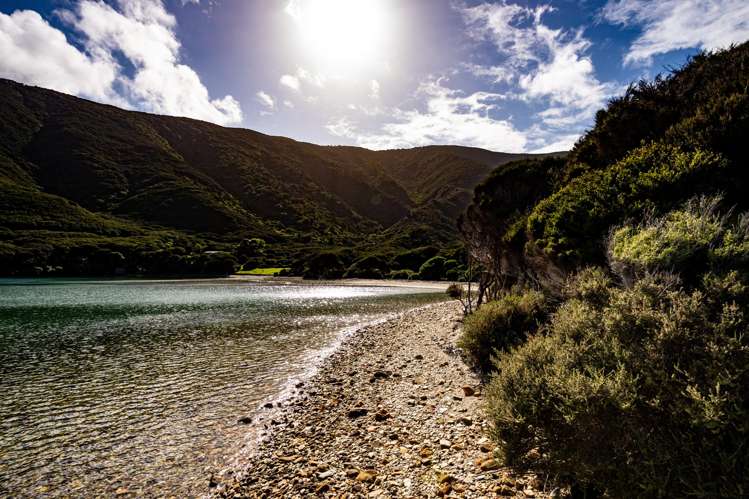 Lot 4 + 5 Te Aroha Bay, Otanerau Bay Marlborough Sounds_20