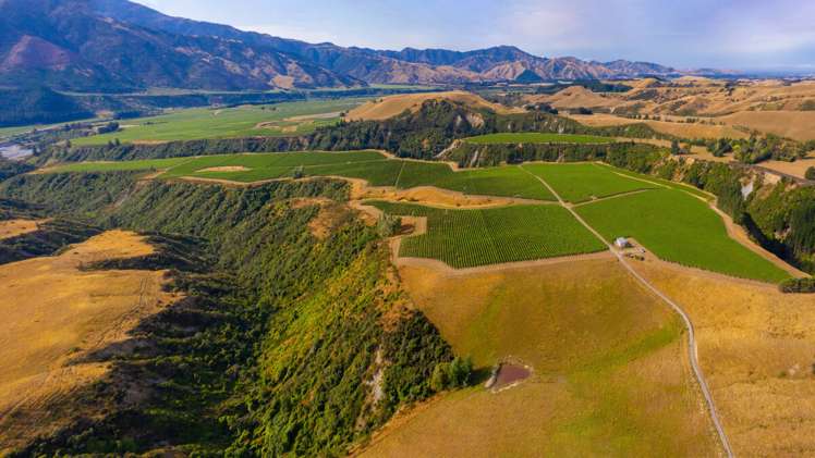 220 Ballochdale Road Awatere Valley_17