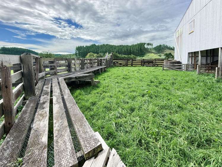 Stratholm, 31 Waihua Valley Road Raupunga_19