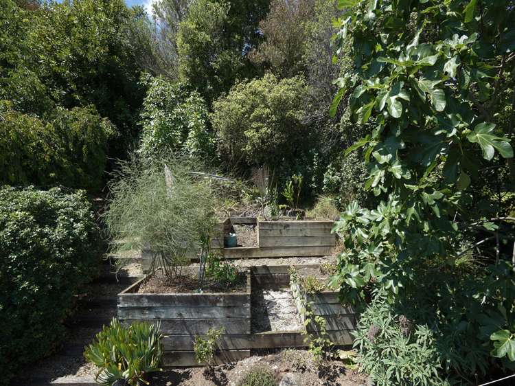 41 Panorama Drive Enner Glynn_23