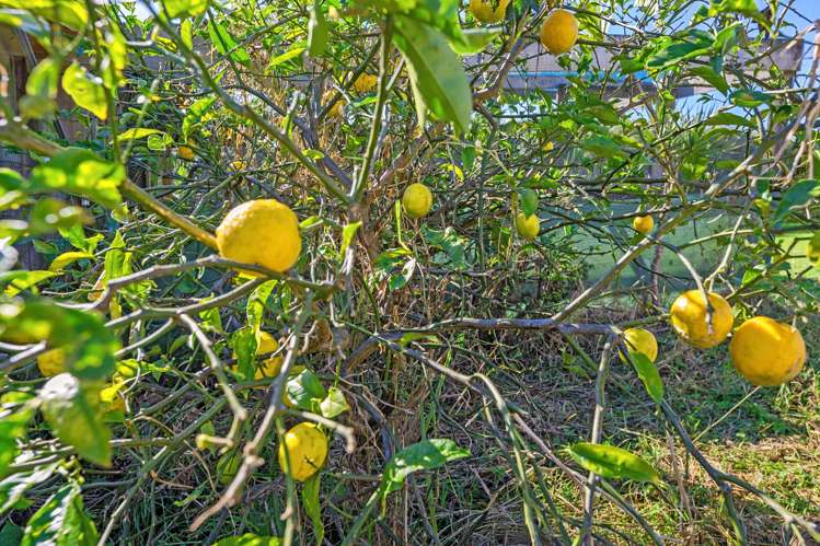 86 Verran Road Birkdale_27