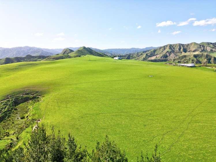 Makakaho Road Waitotara_0