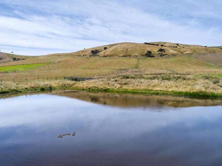 Lot 1 & 2/1015 Lake Ferry Road Martinborough_6