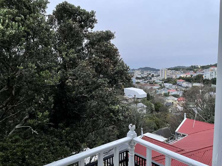 31 Devon Street Aro Valley_6