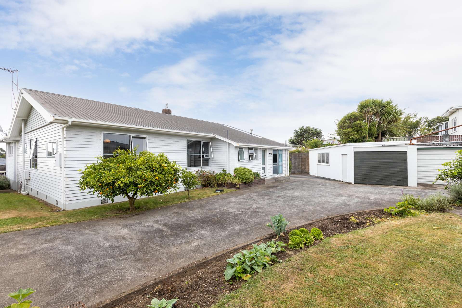 7 Waimea Street Westown_0