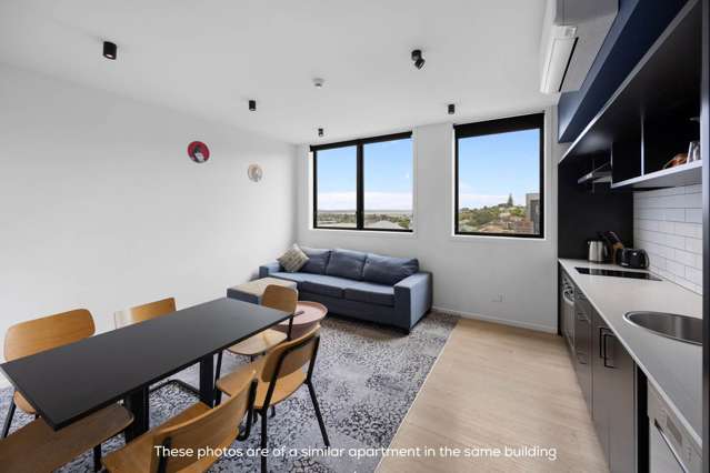 9xUnits 7 Layard Street Avondale_1