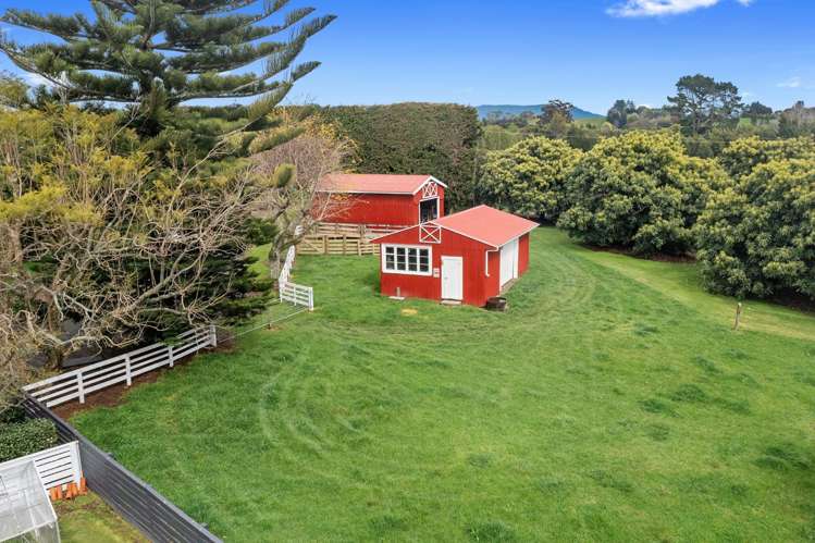 Old Highway Whakamarama_16