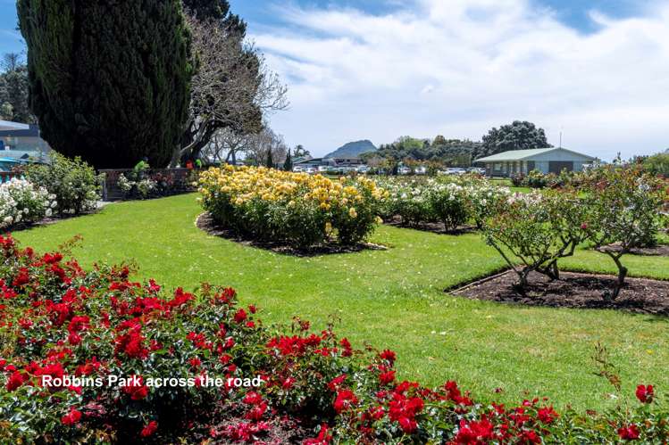 6/52 Dp Cliff Road Tauranga Central_13