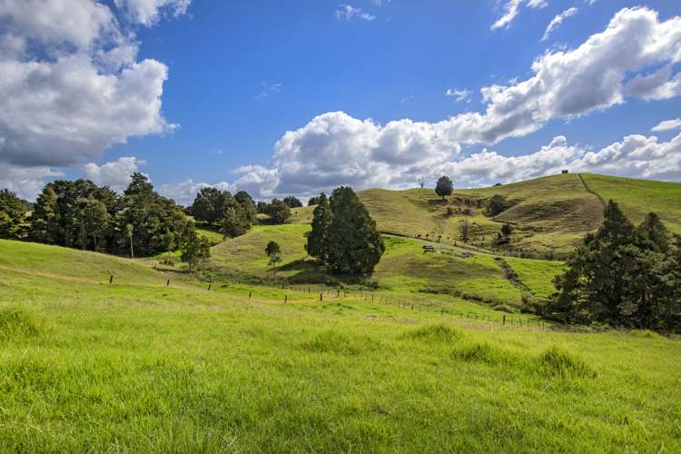 Lot 1 Oetzman Rd Hikurangi Rd2_3