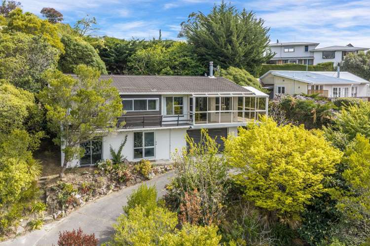 40 Marine Drive Diamond Harbour_0