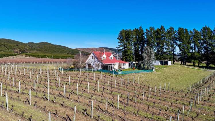 2486 State Highway 63 Wairau Valley_6